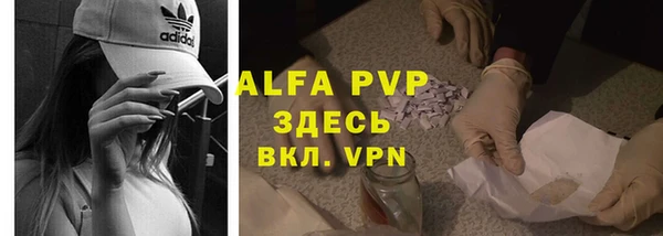 прущие крисы Алзамай
