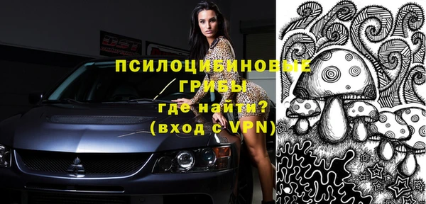 прущие крисы Алзамай