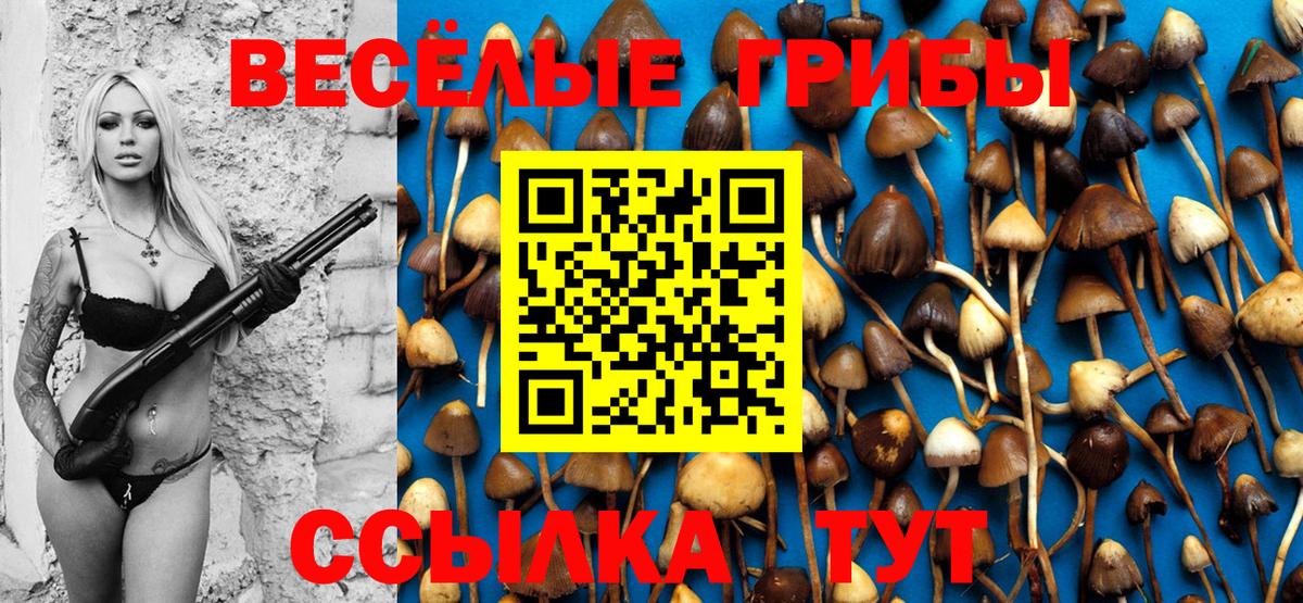 Галлюциногенные грибы ЛСД Джанкой