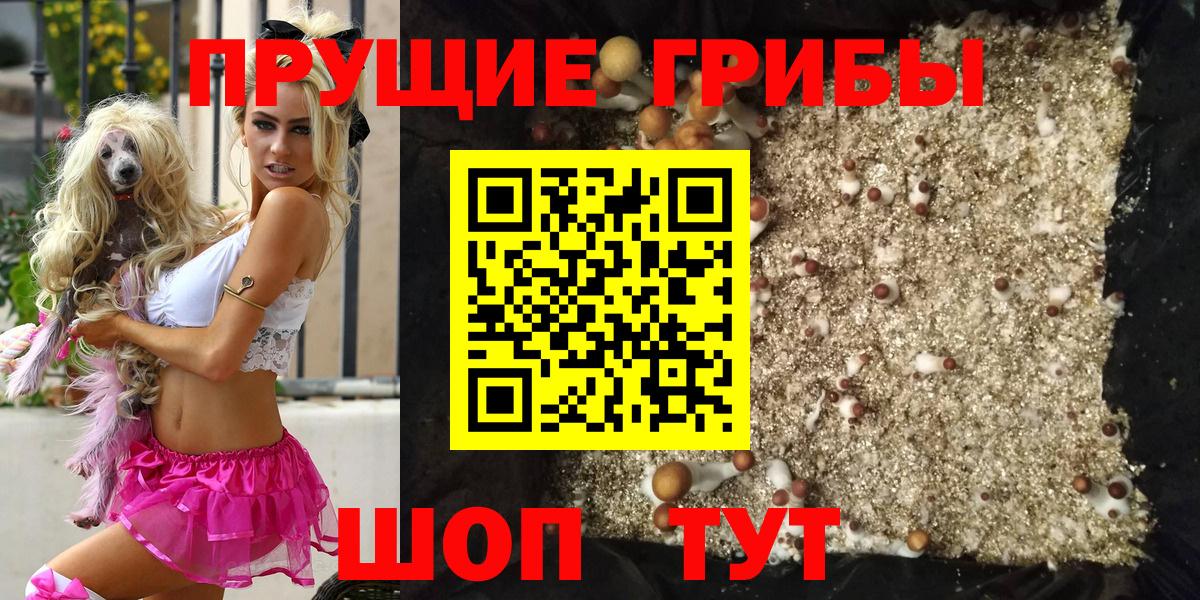 Псилоцибиновые грибы GOLDEN TEACHER  Вход с VPN  Джанкой 